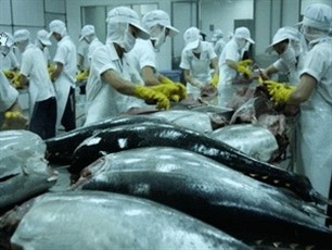 Vietnam’s tuna exporters eye Middle East - ảnh 1